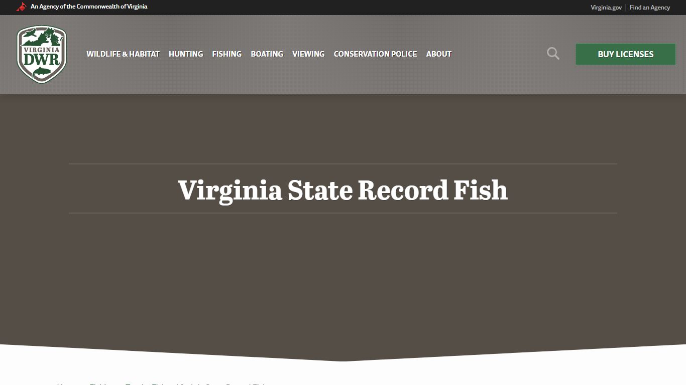 Virginia State Record Fish | Virginia DWR